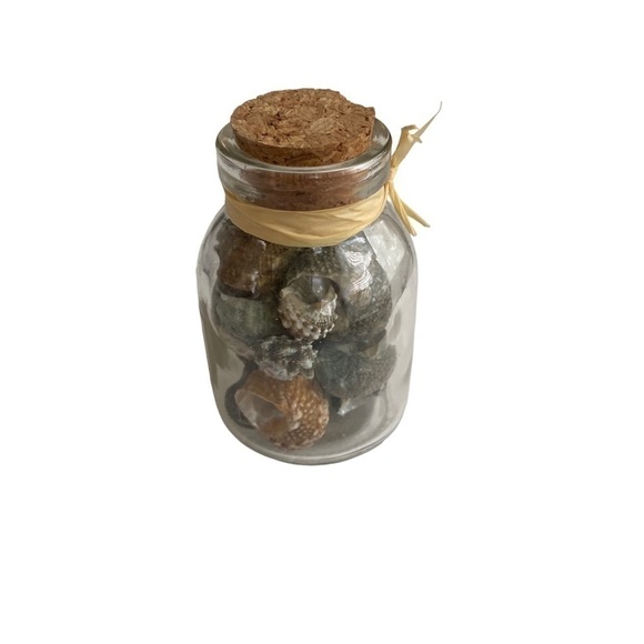 Seashells Mini decorations bottle - Picture 3 of 5